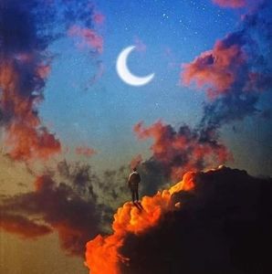 Meet your Posher, Salinas